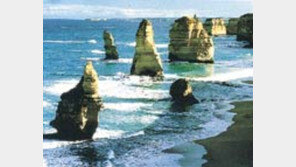 ［여행／그레이트  오션  로드］신이  빚은  길  환상의  ２백㎞