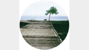 ［여행］정동진驛서  보는  짜릿한  日出  『볼만』