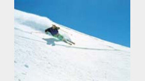 ［여행／호주  스키투어］남반구의  「작은  알프스」