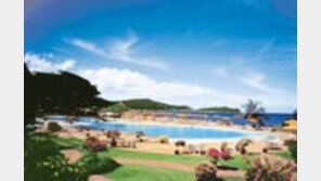 ［여행／태국  사무이섬］파도도  숨죽인  「선탠천국」