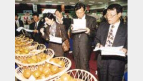 소비자 과일품평회
