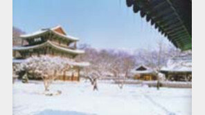 ［여행／모악산  금산사］번뇌접은  山寺의  겨울