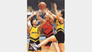 ［농구대잔치］삼성생명  ２연승…대웅제약  가볍게  격파