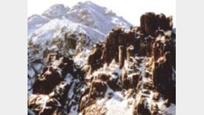 ［여행／영암  월출산］고개들면  구름바다…  정상엔  둥근  달