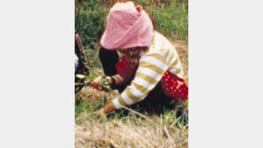 ［여행］봄나물  지천…『산에  들에  봄캐러  가세』