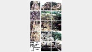 ［여행／경주  남산］계곡마다  부처  능선곳곳  석탑