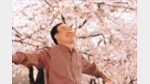 ［여행／여의도벚꽃구경］시작장애  １０년만에  開眼  김무경씨