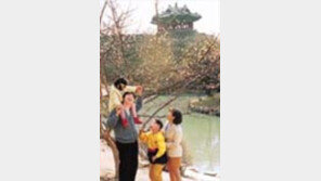 ［여행］정조대왕  효심어린  수원화성서  부부사랑  재확인