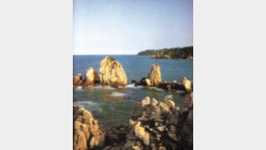 ［여행］동해「추암촛대바위」  해돋이는  「애국가  배경화면」