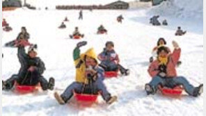 ［레저］눈썰매  산비탈서  「씽씽」…동심  「훨훨」