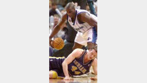 [NBA]샬럿 호니츠 8강 PO 확정