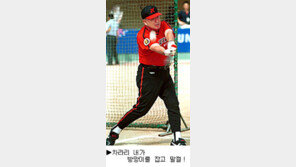 [딴지칼럼]김응룡-이광한 감독, 10년 지긋지긋한 '악연'