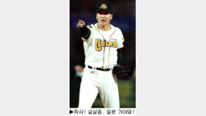 [딴지칼럼]국내야구 타고투저현상 빨리 손써야
