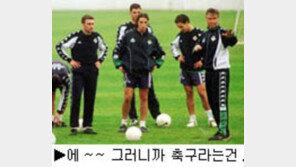 [딴지칼럼]네티즌이 미리보는 히딩크 감독