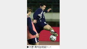 [스포츠포커스]'올해 최고스타'로 들썩이는 축구계