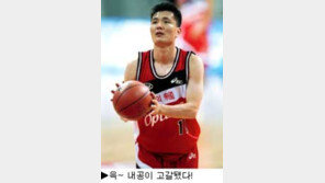 [딴지칼럼]'국내 최고 슈터'의 자유투 에어볼