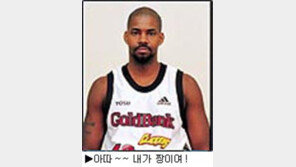 [딴지칼럼]골드뱅크, 매덕스로 판도 바꾼다