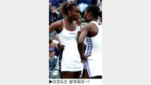 [딴지칼럼]＂볼거리 있어 좋긴 하지만 가끔은 너무 한다 싶기도...＂