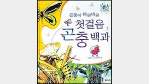 [어린이책]첫걸음 곤충백과