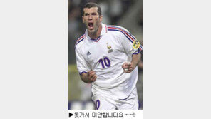 [딴지칼럼]＂지단도 없고 히바우두도 없다. 그렇다면 과연 흥미가 생길까? ＂