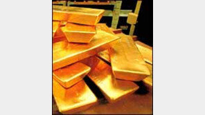 [인문사회]황금의 지배