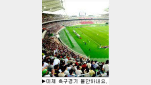 [딴지칼럼]＂문수경기장이 다가온다＂