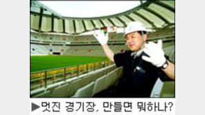 [딴지칼럼]2002 월드컵에 한국은 없다