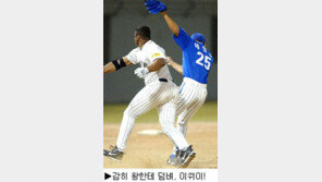 [딴지칼럼]프로야구계 용병은 왕(?)