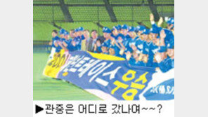 [딴지칼럼]한국에 관전문화는 존재하는가