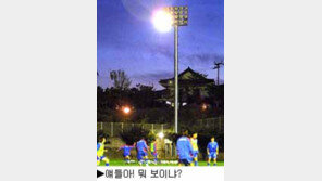 [딴지칼럼]축구대표팀 합훈 문제있다