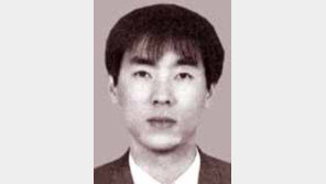 [문화칼럼]강한섭/한국영화 붐 거품 아니길…