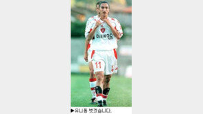 [딴지칼럼]＂우물 떠난 개구리＂