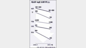 [이슈추적]김장철 채소값 폭락…농민 시름