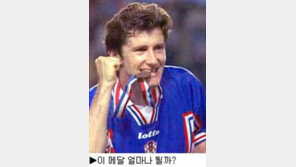 [딴지칼럼]＂수케르는 한국에 올까?＂