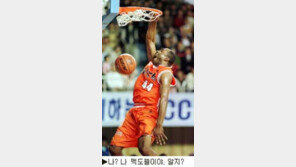 [딴지칼럼]＂성도 몰라 이름도 몰라＂