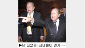 [딴지칼럼]＂짜구 치는 고스톱? ＂