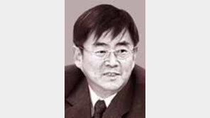 [헌법의 눈]안경환/누굴 위한 개헌 타령인가