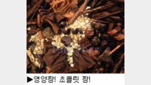 [딴지칼럼]초콜릿 금지령은 오해야!