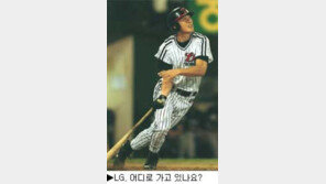 [딴지칼럼]＂불은 언제 꺼요? 꽃은 언제 펴요?＂