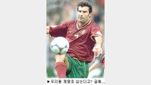 [딴지칼럼]＂16강 제물은 포르투갈!!!＂