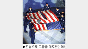 [딴지칼럼]＂미국의 애국심(?)＂