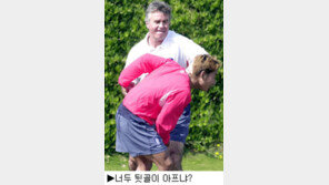 [딴지칼럼]＂급성장한 한국축구!＂