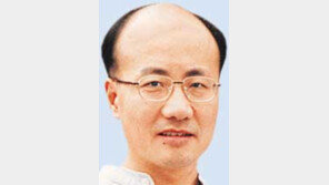 [철학의 창]임홍빈/정치인은 성인이 아니다