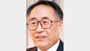 [세계의 눈]김영진/北-日 국교정상화 ´산 넘어 산´