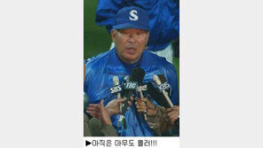 [스포츠포커스]＂한국시리즈는 파란색!＂