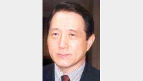 [특별기고]안영섭/국제적 망신부른 특사파견