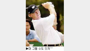 [딴지칼럼]폄하면 뭐가 달라질까?