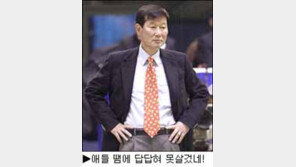 [딴지칼럼]전력만 탓하기엔…