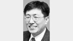 [지역포럼]한무영/청계천에 깨끗한 빗물이 흐르게