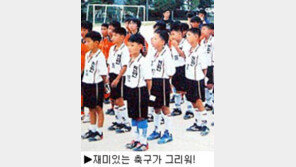 [딴지칼럼]유소년축구, 미봉책은 탈피하자!